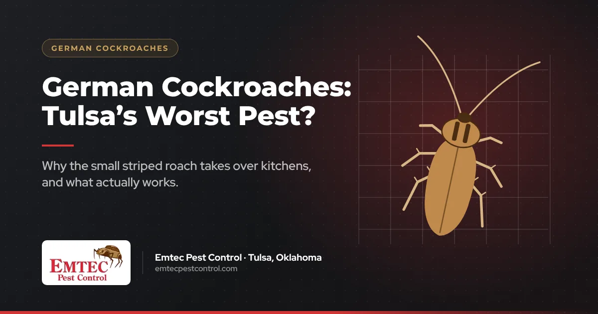 German cockroaches in Tulsa: identification and control