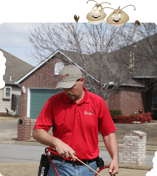 Woody and Stump, Emtec's termite mascots