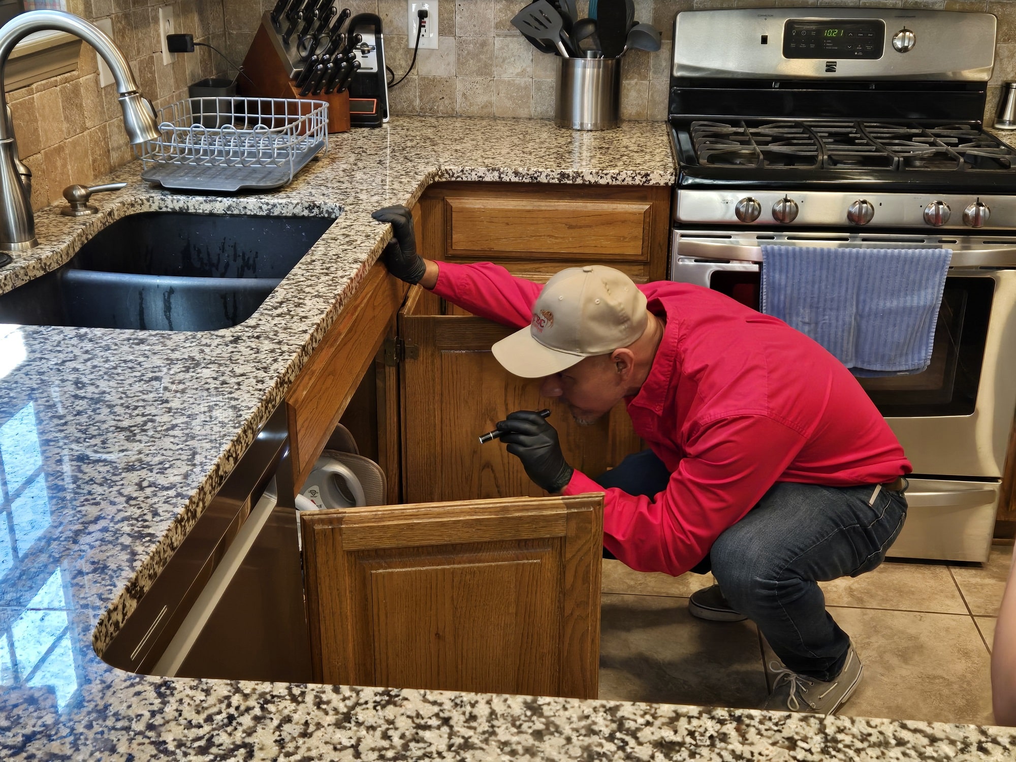 Technician inspecting wood for termite damage