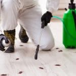 Young male contractor doing pest control at home