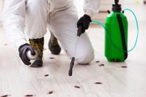 Young male contractor doing pest control at home