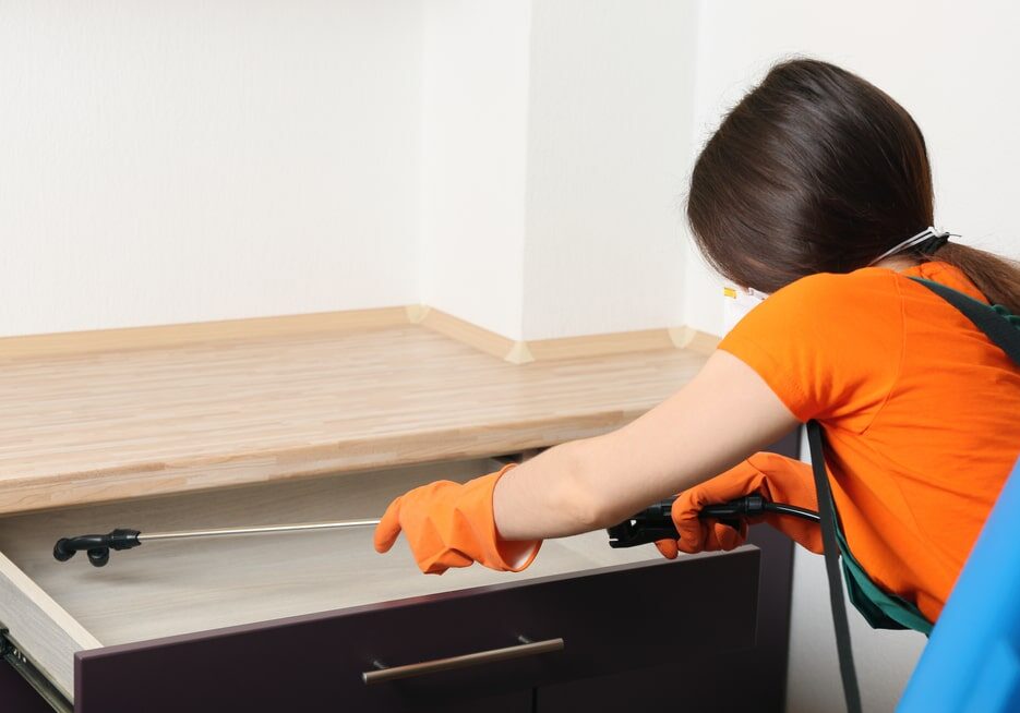 Pest control worker spraying pesticide on furniture indoors