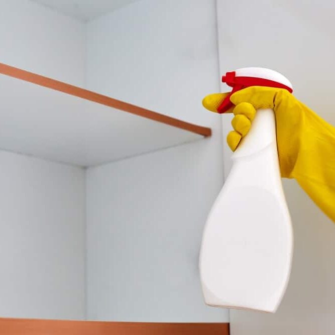 Spraying home made pesticide inside the house