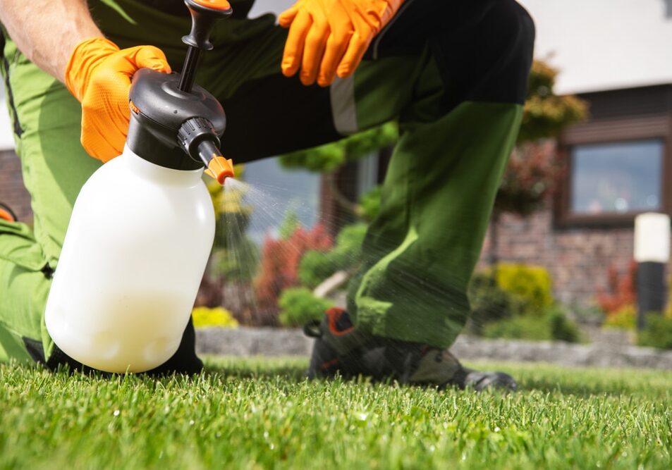 Caucasian Men Fighting Grass Lawn Weeds by Spraying Chemicals.