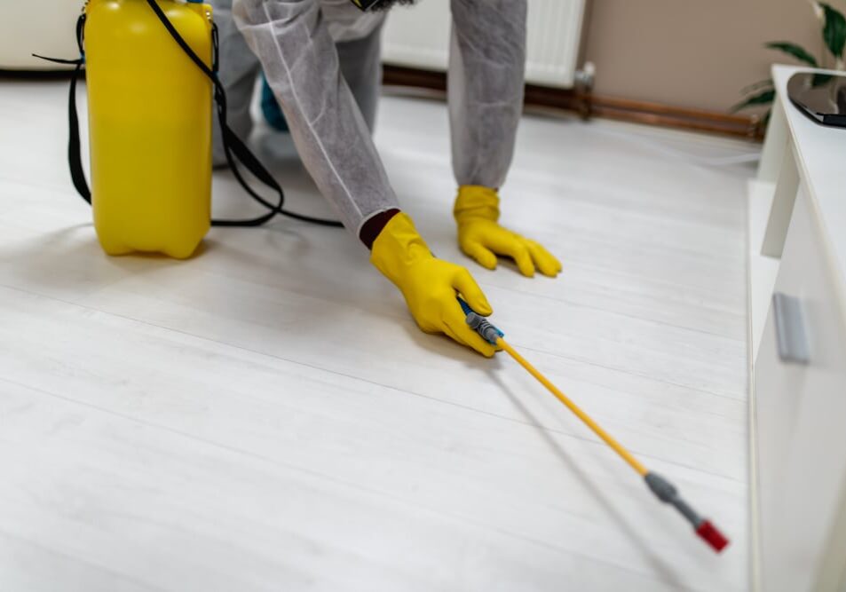 Exterminator in work wear spraying pesticide with sprayer