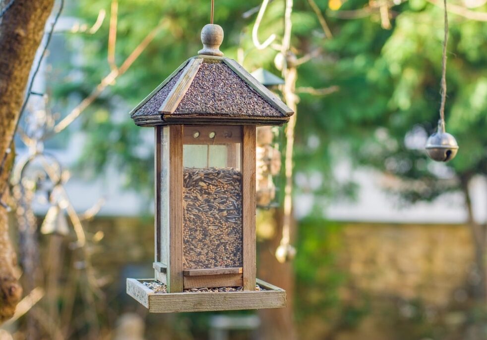Bird house with bird feed Grains and cereal