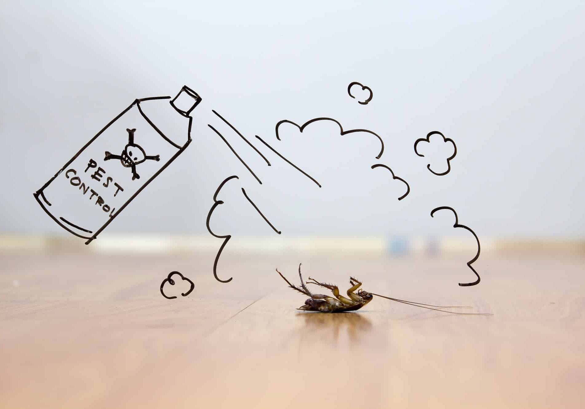Past control concept and a dead cockroach on floor