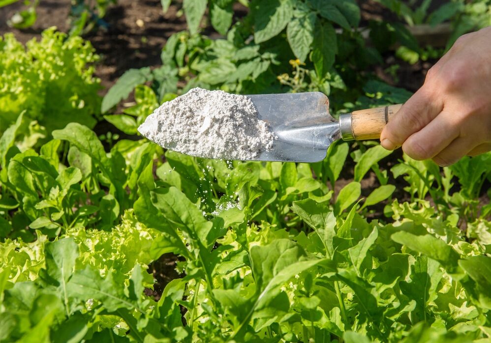 Gardener white sprinkle Diatomaceous earth