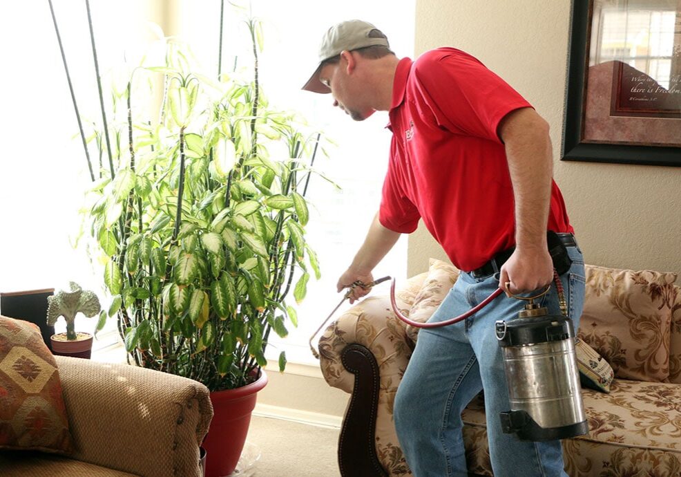 Pest Control Service