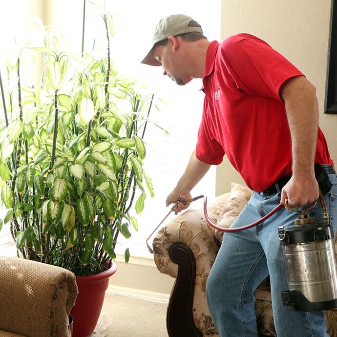 Pest Control Service