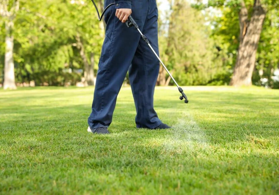Worker spraying onto green lawn outdoors