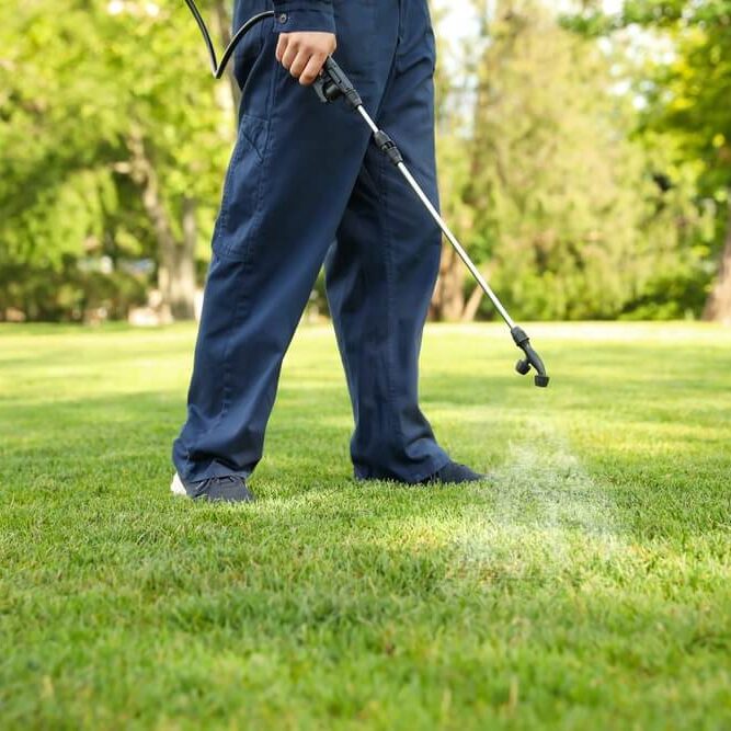 Worker spraying onto green lawn outdoors