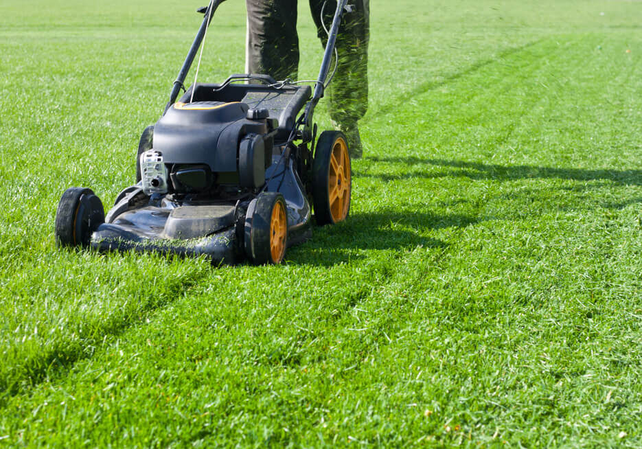 Garden meadow lawn cutting