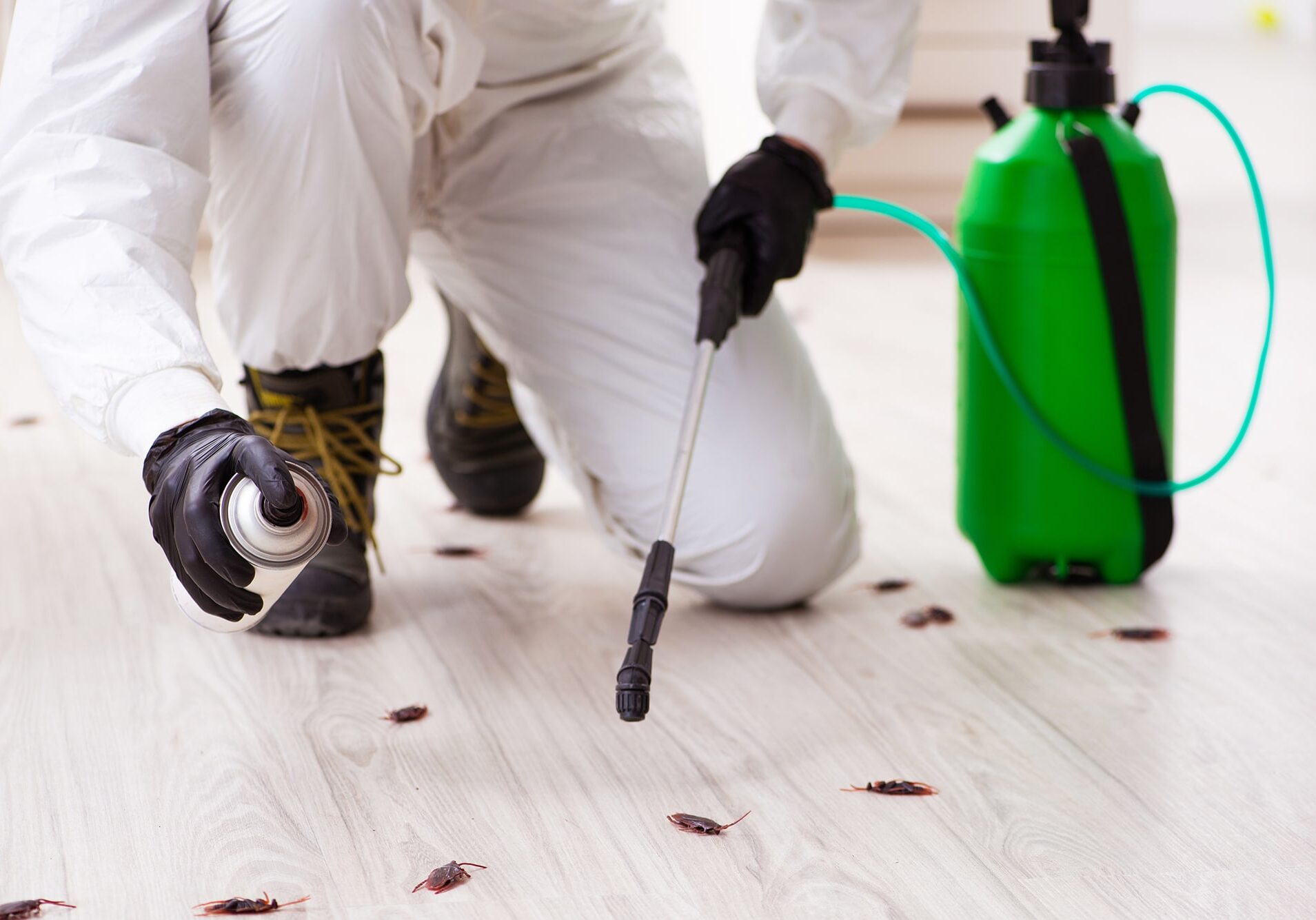 Young male contractor doing pest control at home
