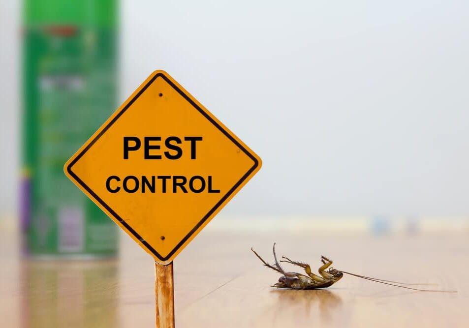 Dead cockroach on floor with caution sign pest control