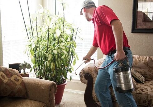 Service technician spraying inside house