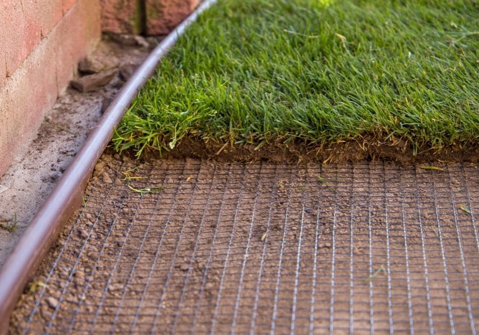 Laying lawn an anti-mole netting